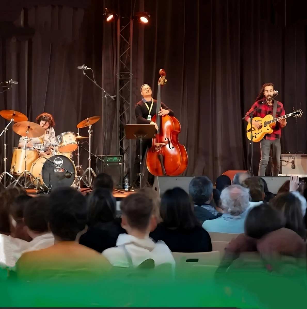 Trio live performance